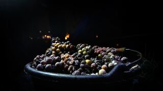 Als Ursprung des Weinbaus kann Mesopotamien betrachtet werden.