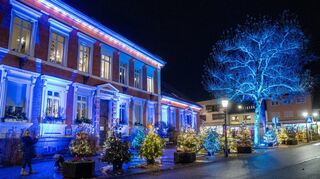 Rund ums blau angestrahlte Stadthaus bilden fast 60 individuell geschmückte kleine Weihnachtsbäume eine imposante Allee. Aber nicht nur in der Dunkelheit lohnt ein Spaziergang.