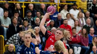 Die Flames (hier Myrthe Schoenaker am Ball) taten sich in der ersten Hälfte gegen die Bietigheimer Abwehr schwer.