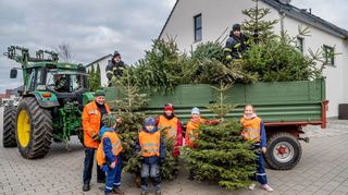 Die Bensheimer Feuerwehren sammelten am Samstag im Stadtgebiet die ausgedienten Weihnachtsbäume ein.