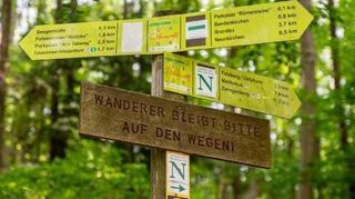 Der OWK Auerbach hat in diesem Jahr einiges vor.