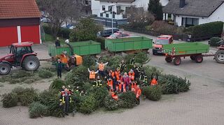 Die Jugendfeuerwehr lud ihre gesammelten Weihnachtsbäume aus dem Stadtgebiet auf dem Platz vor dem Feuerwehrgerätehaus ab.
