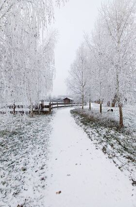 So verschneit wie auf unserem Bild wird sich das Freilichtlabor Lauresham am kommenden Sonntag wahrscheinlich nicht präsentieren. Inhaltlich dreht sich jedoch alles um den Winter im Frühen Mittelalter.