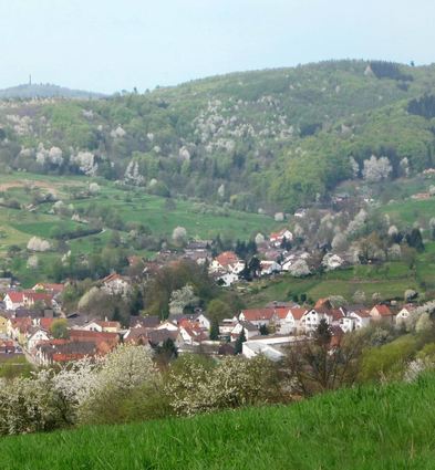 Wie waldreich das Lautertal immer noch ist, zeigt ein Blick vom Hohenstein auf Borstein, Melibokus und Felsbergwald.
