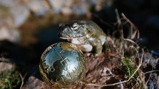 „Der Froschkönig“ ist ein Märchen der Gebrüder Grimm. Die Erzählungen sind in viele verschiedene Sprachen übersetzt worden.
