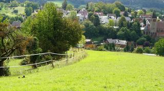 Für Kirschhausen geht es voran: Der Bauausschuss stimmte mehrheitlich für den Bebauungsplan „Siegfriedstraße 394“.