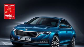 mid Groß-Gerau - Der Skoda Octavia in vierter Generation setzte sich in seiner Kategorie gegen 29 Mitbewerber durch und fuhr in der "Kompaktklasse" an die Spitze der Importwertung.