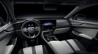 mid Groß-Gerau - Prima Klima: Der Lexus NX ist nun mit der "nanoe X"-Luftreinigungstechnologie von Panasonic ausgestattet.