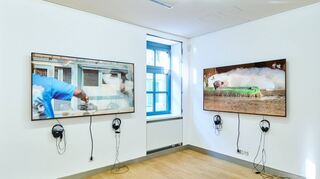 Blick in die Ausstellung mit Arbeiten der prämierten Künstlerin Yalda Afsah.