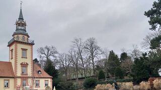 Blick auf den Stadtpark vom Moller-Pavillon aus – links der Rodensteiner Hof, im Hintergrund der Kirchberg. Als „Kurpark“ wurde die Anlage im Jahr 1934 eröffnet.