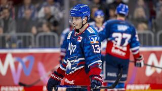 Ernüchtert: Adler-Angreifer Stefan Loibl nach dem 2:5 gegen Berlin.