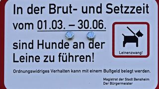 Es bleibt dabei: In Bensheim müssen Hunde während der Brut- und Setzzeit in der Flur angeleint werden.
