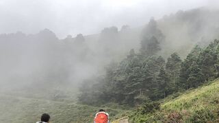 Rucksack auf und los: Der Jakobsweg gehört zu den beliebtesten Wanderwegen Europas.