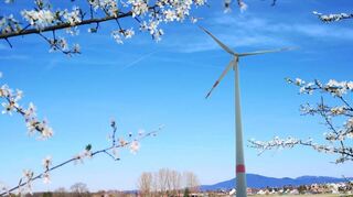 Um die Klimaneutralität bei gemeindeeigenen Einrichtungen in Einhausen zu erreichen, werden Energiesparmaßnahmen nicht ausreichen. Zur Erzeugung von klimaneutralem Strom müssten wie bei unserer Fotomontage (l.) entweder derzeit im Ried nicht zulässige Windkrafträder aufgestellt oder Photovoltaik-Anlagen auf drei bis vier Hektar Fläche gebaut und betrieben werden.
