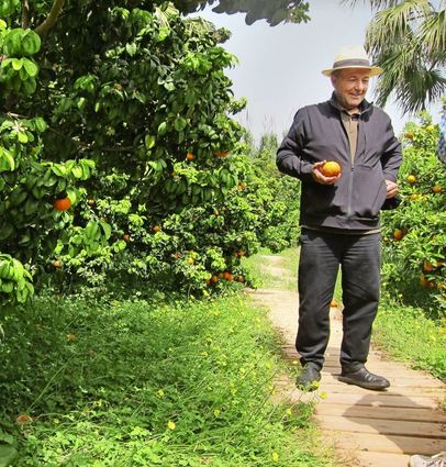 Vicente Todoli in seiner Citrus-Plantage bei Palmera.
