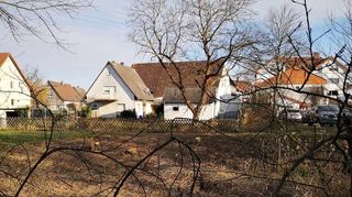 Hier soll der neue Steg über die Weschnitz gebaut werden. Ende Februar wurden dafür bereits Bäume und Sträucher entfernt.