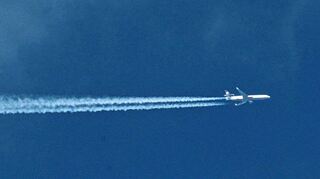 Damit Passagiere mit gutem Gewissen reisen können, spendet Lufthansa bei den neuen „Green Fares“ an Klimaschutzorganisationen.