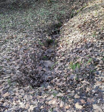 Ein Schild weist in Hammelbach auf die Weschnitzquelle hin.