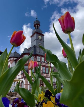 ble_Frühling in Lorsch. Bild: Thomas Neu