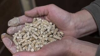 Eine Frau hält Holzpellets im Keller eines Wohnhauses in den Händen. Ab Mitte Mai 2023 soll in Nordrhein-Westfalen voraussichtlich der Startschuss fallen für Härtefallhilfen an Privathaushalte, die ohne leitungsgebundene Energieträger heizen (zu dpa: «Heizen mit Pellets und Koks: Härtefallhilfe für Privathaushalte kommt»). +++ dpa-Bildfunk +++