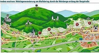 Weinlagenwanderung