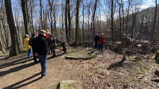 Bei einer gemeinsamen Waldbegehung am Felsberg nahm das Aktionsbündnis Lautertaler Wald mit Vertretern der Gemeinde Lautertal, Hessen-Forst und Naturschutzgruppen den Wald bei den Römersteinen in Augenschein.