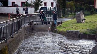Lauter, Winkelbach sowie der Meerbach (unser Bild) führten durch den Sturzregen am Freitag innerhalb weniger Minuten deutlich mehr Wasser mit sich.