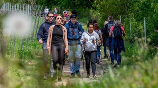 Weinlagenwanderer auf dem Weg vom Schönberger Sportplatz hinauf zur Rast oberhalb des Fürstenlagers.