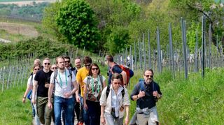 bre, Bergsträßer Weinlagenwanderung,,Rast oberhalb des Fürstenlagers, aus Zwimngenberg kommenden kurz vor der Rast oberhalb des Fürstenlagers,  Bild: Thomas Neu