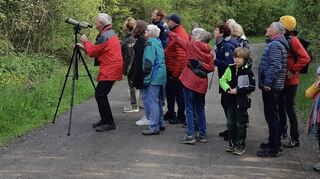 Bei der Vogelstimmenwanderung des OWK Gadernheim konnten Mitglieder und interessierte Naturfreunde zahlreiche Vogelarten beobachten.