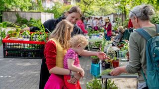Die Pflanzenbörse auf dem Rathausparkplatz stieß am Samstag erneut auf großes Interesse.
