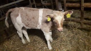 Inzwischen ist Marta schon etwas größer.