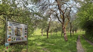 Der neue Wanderweg des Nabu Meerbachtal im Gronauer Hartmannsrech wird am Freitag der Öffentlichkeit vorgestellt.