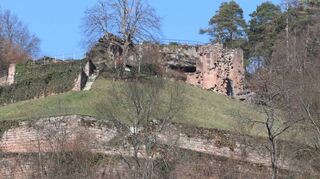 Die Reste der Burg Neidenfels. Zahllose Steine der großen Anlage wurden im 18. Jahrhundert genutzt, um die Weinbergsterrassen darunter anzulegen.