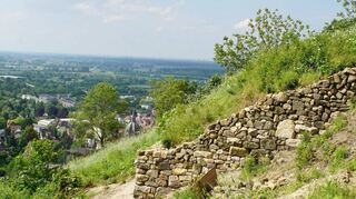 Rekonstruierte Trockenmauer am Schlossberg. Mit Trockenmauern lassen sich Hänge ansprechend gestalten. Untersuchungen haben gezeigt, dass Trockenmauern eine sehr große Anziehungskraft auf viele Tiere haben.