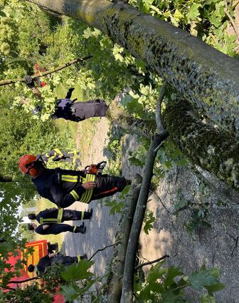 bzw_FFW_Einsatz_2023-06-10

Zwingenberg. Mit zehn Einsatzkräften und drei Fahrzeugen rückte die Freiwillige Feuerwehr Zwingenberg am Samstagvormittag aus, um einen umgestürzten Baum in der Kleingartenanlage in Nachbarschaft zum Autohaus Vogel zu beseitigen: Weil der Baum so lag, dass er den Zugang zu einer der Kleingartenparzellen versperrte und die Besitzer das Grundstück nicht mehr verlassen konnten mussten die ehrenamtlichen Retter mit der Kettensäge eingreifen, so stellvertretender Stadtbrandinspektor Karl-Heinz Zecher. Eine Stunde lang hatten die Einsatzkräfte unter Leitung von Stadtbrandinspektor Reiner Schellhaas damit zu tun. red/Bild: Karl-Heinz Zecher/FFW Zwingenberg
