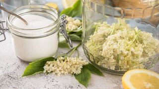 Aus den Zutaten Wasser, Zucker, Zitronen und Holunderblüten lässt sich Holunderblütensirup herstellen.
