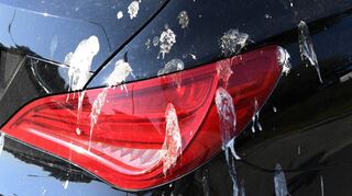 Weiß gesprenkelt: Wer sich Vogelschmutz am Blech einhandelt, sollte schnell handeln – bevor die Exkremente in tiefere Lackschichten vordringen.