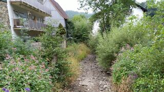Ein Bild, das keiner sehen möchte: ein ausgetrockneter Bach im vergangenen Sommer.