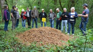 Fester Bestandteil des Jahresprogramms bei den Reichenbacher Vogelschützern sind die vogelkundlichen Rundgänge. Einer davon führte 2015 zum Pfungstädter Moor.