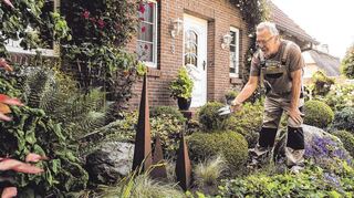 Auch ein grüner Vorgarten kann pflegeleicht sein.