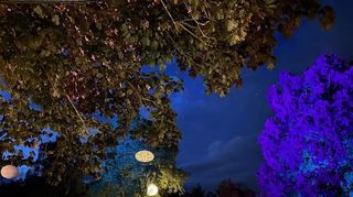 In den Abendstunden genossen viele Festival-Besucher das Bühnenprogramm mitsamt der besonders illuminierten Umgebung.