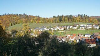 Der Heppenheimer Stadtteil Erbach von oben.