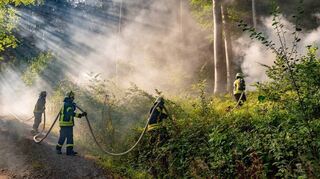 Waldbrandübung der Feuerwehren