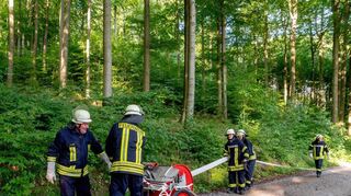 Die Lindenfelser Feuerwehren wurden zu einer unangekündigten Übung in den Buchwald geschickt. Dort sollte ein Waldbrand gelöscht werden.
