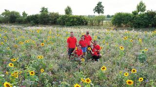 Ein Bad im Blumenmeer: Familie Schweickert auf ihrem blühenden Acker an der Stubenwaldstraße.