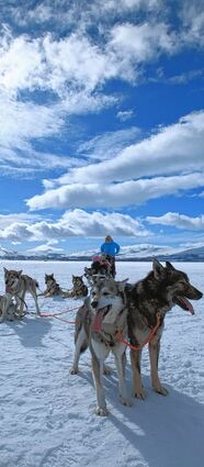 <p>Bei Tagesausflügen sitzen die Gäste im Schlitten, und der sogenannte Musher lenkt die Hunde.</p>