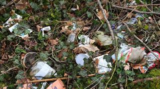 Unser Symbolbild zeigt illegal entsorgten Müll auf dem Waldboden.