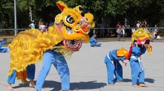 Beim Familiensporttag gibt es wieder Vorführungen der Vereine. Mitglieder von Vovinam Vietvodao traten im vergangenen Jahr in Drachenkostümen auf.