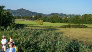 Die CDU-Fraktion hatte sich zu einem Ortstermin an einer sechs Hektar großen Wiese westlich der A 5 in Bensheim getroffen, auf der die GGEW AG eine Freiflächen-Photovoltaikanlage plant.